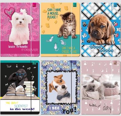 Opakowanie Teczka A4 z gumką Best Friend