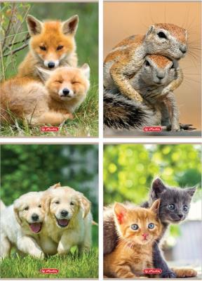 Opakowanie Zeszyt A4/32K kratka Animals (10szt)