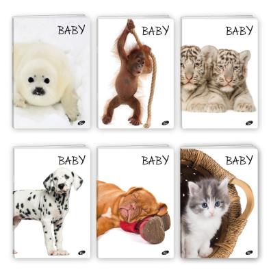 Zeszyt A5 32K kratka BABY pakiet 20 sztuk. Wydawca: Melisa Bel. SmakLiter.pl Opakowanie Zeszyt A5 32K kratka BABY pakiet 20 sztuk