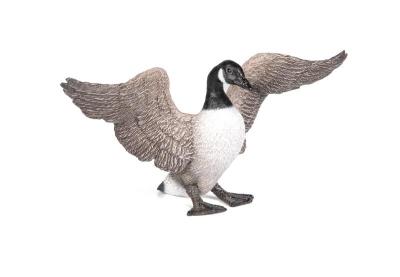 Opakowanie Bernikla kanadyjska