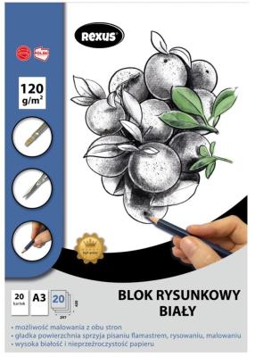 Opakowanie Blok rysunkowy A3/20K biały Premium
