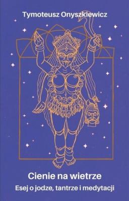 Cienie na wietrze. Autor: Tymoteusz Onyszkiewicz. SmakLiter.pl Okładka książki Cienie na wietrze