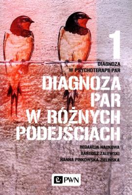 Okładka książki Diagnoza par w różnych podejściach