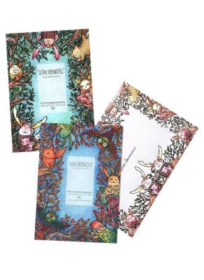 Dwuak kolorowanek Leśne opowieści T.1-2. Autor: Dominika Gołąb. SmakLiter.pl Okładka książki Dwuak kolorowanek Leśne opowieści T.1-2