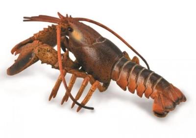 Homar. Wydawca: Collecta. SmakLiter.pl Opakowanie Homar