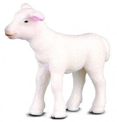 Jagnię. Wydawca: Collecta. SmakLiter.pl Opakowanie Jagnię