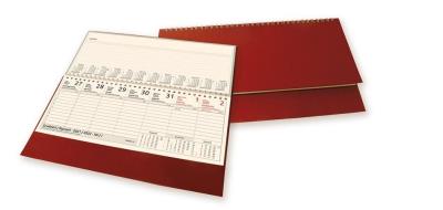 Okładka książki KAL.TERMINARZ LEZACY SPIRALA 2015-ANIEW