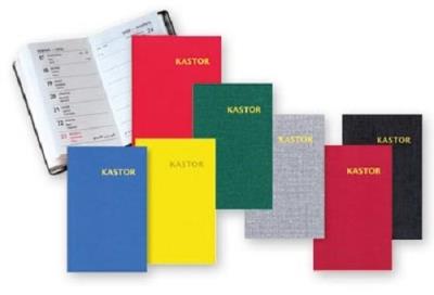 Kalendarz 2021 KL 10 Kastor plastik 10 sztuk. Wydawca: MediCodex. SmakLiter.pl Opakowanie Kalendarz 2021 KL 10 Kastor plastik 10 sztuk