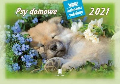 Kalendarz 2021 WL08 Psy domowe Kalendarz rodzinny 5 sztuk. Wydawca: MediCodex. SmakLiter.pl Opakowanie Kalendarz 2021 WL08 Psy domowe Kalendarz rodzinny 5 sztuk
