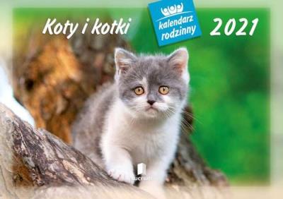 Kalendarz 2021 WL09 Koty i kotki Kalendarz Rodzinny 5 sztuk. Wydawca: MediCodex. SmakLiter.pl Opakowanie Kalendarz 2021 WL09 Koty i kotki Kalendarz Rodzinny 5 sztuk