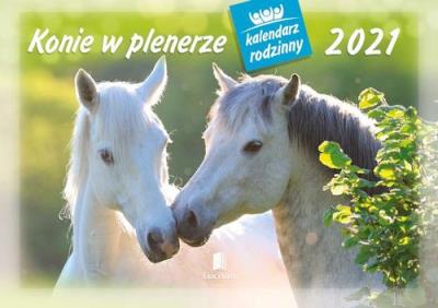Kalendarz 2021 WL10 Konie w plenerze Rodzinny 5 sztuk. Wydawca: MediCodex. SmakLiter.pl Opakowanie Kalendarz 2021 WL10 Konie w plenerze Rodzinny 5 sztuk