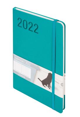 Opakowanie Kalendarz 2022 Minimalizm A5 turkusowy TNS ANTRA