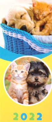 Opakowanie Kalendarz 2022 Paskowy Przyjaciele ARTSEZON