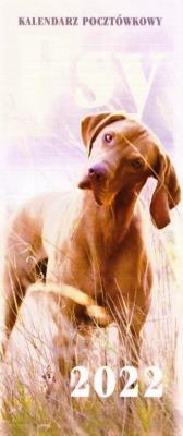 Opakowanie Kalendarz 2022 Pocztówkowy Psy ARTSEZON