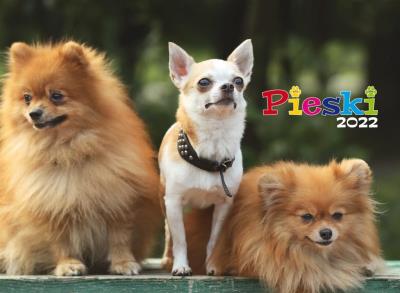 Opakowanie Kalendarz 2022 ścienny albumowy Pieski