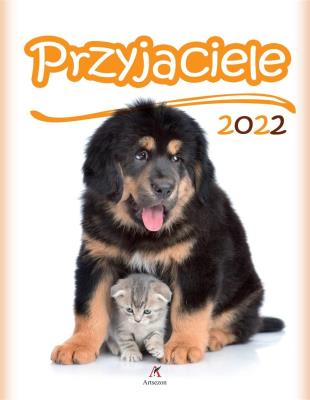 Opakowanie Kalendarz 2022 Ścienny Przyjaciele ARTSEZON