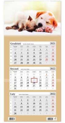 Opakowanie Kalendarz ścienny 2022 trójdzielny Pies i Kot