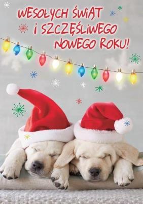 Opakowanie Karnet B6 3DV-188 Boże Narodzenie