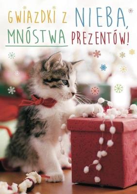 Opakowanie Karnet B6 3DV-189 Boże Narodzenie