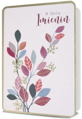 Opakowanie Karnet B6 Imieniny HM200-2179