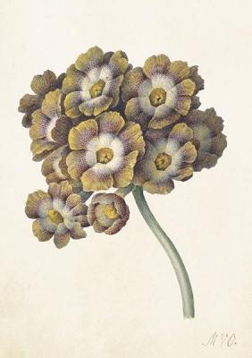 Opakowanie Karnet ST373 B6 + koperta Pierwiosnek