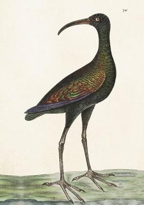 Opakowanie Karnet ST378 B6 + koperta Apteribis