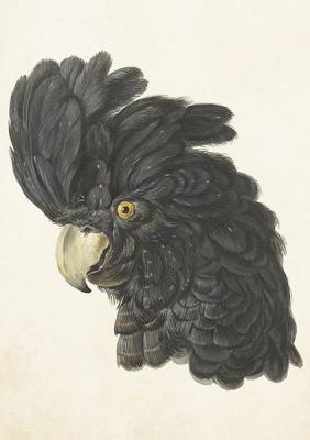 Opakowanie Karnet ST380 B6 + koperta Kakadu