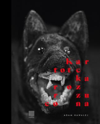 Kartoteka rozrzucona. Autor: Hawałej Adam. SmakLiter.pl Okładka książki Kartoteka rozrzucona