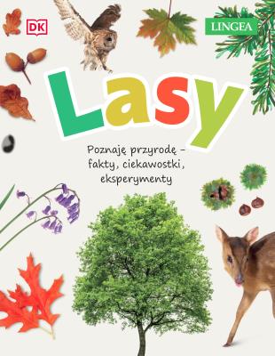 Lasy. Poznaję przyrodę, fakty, ciekawostki, eksperymenty. Autor: Ambrose Jamie. SmakLiter.pl Okładka książki Lasy. Poznaję przyrodę, fakty, ciekawostki, eksperymenty