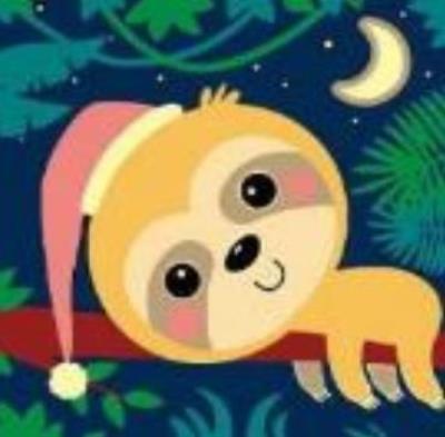 Opakowanie Malowanie po numerkach Creative Kids. Leniwiec