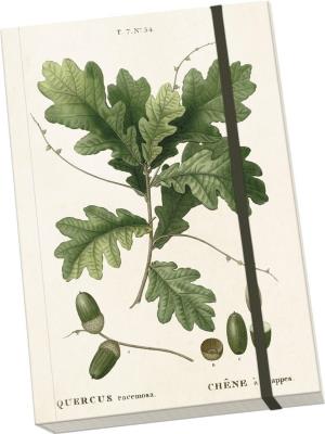 Opakowanie Notatnik ozdobny A5 STNOTE 52 Żołądź