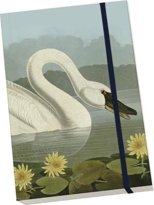 Opakowanie Notatnik ozdobny A5 STNOTE 64 Łabędź