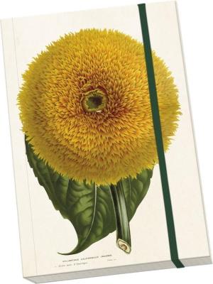 Opakowanie Notatnik ozdobny A5 STNOTE 76 Słonecznik