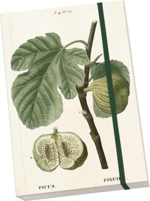 Opakowanie Notatnik ozdobny A5 STNOTE 79 Figa