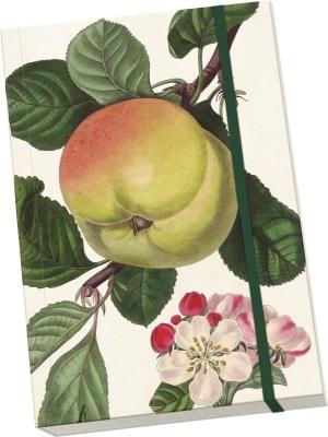 Opakowanie Notatnik ozdobny A5 STNOTE 84 Jabłoń