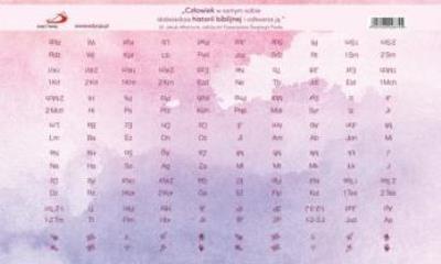 Opakowanie Paginatory - naklejki różowe proste