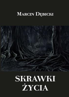 Skrawki życia. Autor: Dębicki Marcin. SmakLiter.pl Okładka książki Skrawki życia