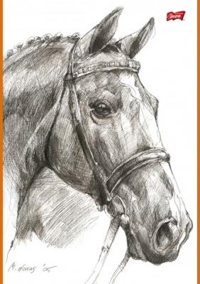 Opakowanie Szkicownik A4 20 kartek PAKIET 10 sztuk