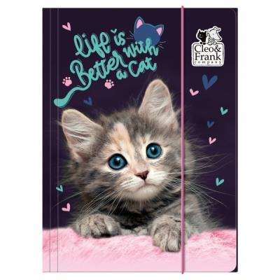Opakowanie Teczka z gumką A4 Cleo i Frank 30 ( Kot) Derform