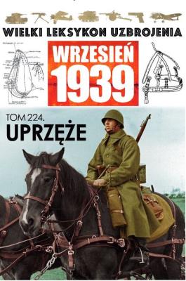 Wielki Leksykon Uzbrojenia Wrzesień 1939 t.224. Wydawca: Edipresse Polska. SmakLiter.pl Opakowanie Wielki Leksykon Uzbrojenia Wrzesień 1939 t.224