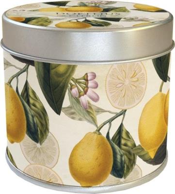 Opakowanie Zapachowa świeczka 158 - motyle - zapach cytrynowy