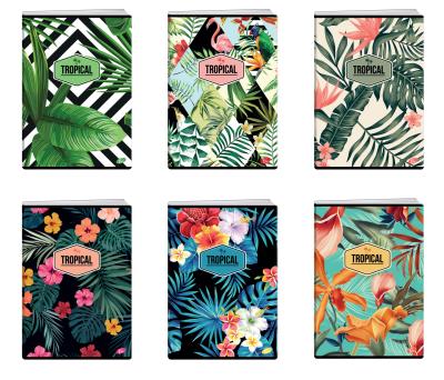 Opakowanie Zeszyt A4 60K linia TROPICAL pakiet 10 sztuk