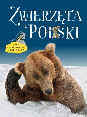 Zwierzęta Polski. Mała encyklopedia ilustrowana. Autor: Kruszewicz Andrzej G.. SmakLiter.pl Okładka książki Zwierzęta Polski. Mała encyklopedia ilustrowana