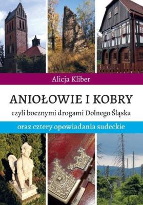 Aniołowie i kobry... Autor: Alicja Kliber. SmakLiter.pl Okładka książki Aniołowie i kobry..