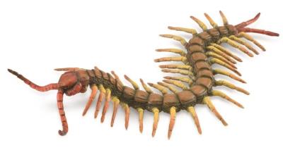 Opakowanie Centipede