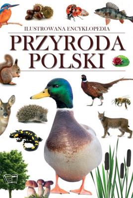 Ilustrowana encyklopedia. Przyroda Polski. Autor: Opracowanie zbiorowe. SmakLiter.pl Okładka książki Ilustrowana encyklopedia. Przyroda Polski