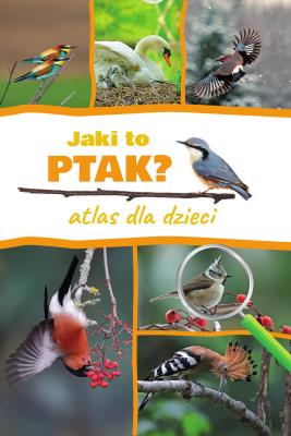 Jaki to ptak? Atlas dla dzieci. Autor: Marchowski Dominik. SmakLiter.pl Okładka książki Jaki to ptak? Atlas dla dzieci