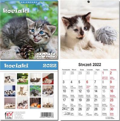 Opakowanie Kalendarz 2022 13 plansz Kociaki