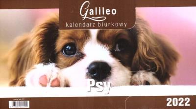 Opakowanie Kalendarz 2022 Biurkowy Galileo Psy CRUX