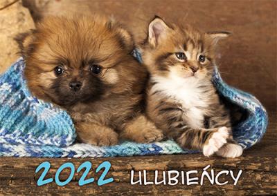 Opakowanie Kalendarz 2022 Ulubieńcy KA 4